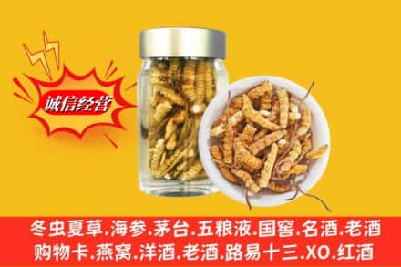 道外区回收散虫草