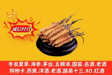 道外区求购回收虫草多少钱每克